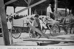 A horse and buggy transporting bodies