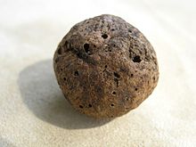 Oak Gall.jpg