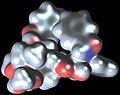 Model of the Paclitaxel molecule