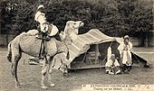 Tuareger i koloniutstillinga i Jardin tropical de Paris 1907