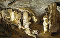 Image 11Postojna Cave (from Tourism in Slovenia)