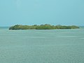 Indian Key, Florida Keys