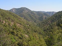 La montaro Troodos kun la Olimpo