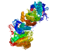 Activation de ERBB kinases