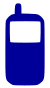 Shared mobile IP address