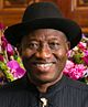 Goodluck Jonathan (2013)