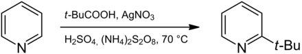 Synthese von 2-tert-Butylpyridin