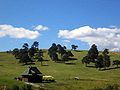 Paesaggio della regione di Zlatibor