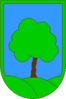 Coat of arms of Ravne na Koroškem