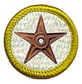 I, Rlevse, award this Scouting Barnstar to Kintetsubuffalo for his great contributions to Scouting related articles.