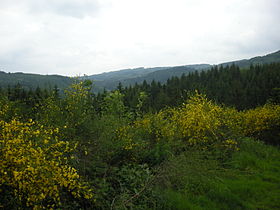 Image illustrative de l’article Col de Saales