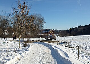 Brukningsvägen