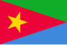 Vlag van het Eritrean People's Liberation Army (EPLF). Het EPLF scheidde zich in 1971 af van het ELF en vocht de twee Eritrese Burgeroorlogen uit tegen het ELF.