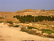 מבט אל תל מעון העתיקה