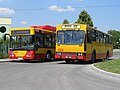 Jelcz-Berliet PR110U и Jelcz Vecto