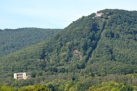 Rietburg mit der Schneise der Sesselbahn