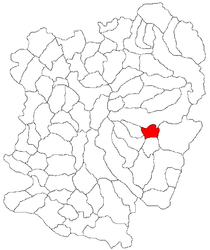 Location in Caraș-Severin County