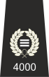 Special Constabulary Chief Officer Insignia