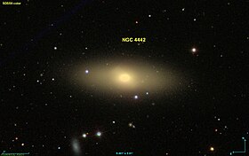 Image illustrative de l’article NGC 4442