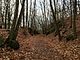 The Larkin Trail in Whittemore Glen State Park in Naugatuck Connecticut.