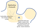 Selection for catalysis in random nucleotides