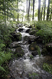 Der Lauteroberlauf oberhalb von Gadernheim im Odenwald