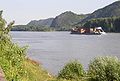 Namedy, Rhein mit Ruine Hammerstein