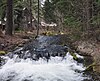 A small, straight stream with moss-covered banks rushing through a coniferous forest