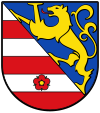 Wappen von Lienz