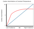 Corrected graph