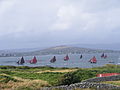 Galway Hookers a Greatmans Bay