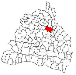 Location in Dolj County