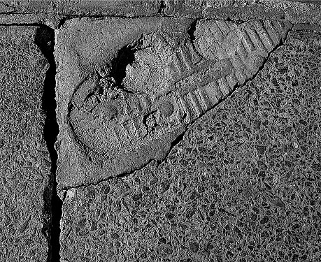 Footprint set in concrete repair on pavement.