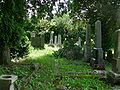 Der verlassene jüdische Friedhof von Lendava