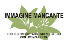 Immagine di Durio macrantha mancante