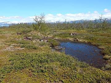 Nabij Abisko, Noord-Zweden