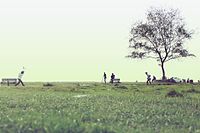 Cricket at Puthyvypin Beach