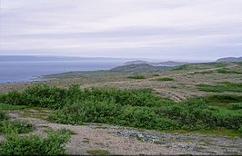 Zicht op de Varangerfjord