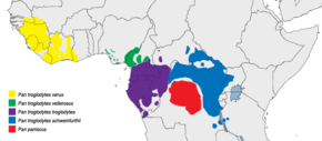 Description de l'image Pan (genus) distribution map.png.