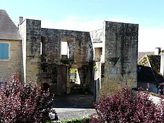 Les ruines du château de Thenon.