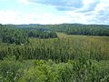 A view of a valley