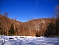 Loyalsock State Forest, Hillsgrove Township