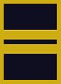 Flight suit sleeve insignia for a captain (2003–present)