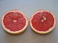 Pink grapefruit