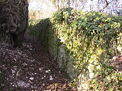 Vestige du mur de scène.