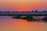 Maguri Motapung Beel in Tinsukia district