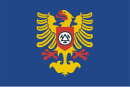 Drapeau de Třinec