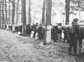 Photograph by Private Floyd Watkins, Canadian Scottish Regiment, Nijmegen, Fall 1945