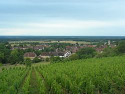 Skyline of Cesancey