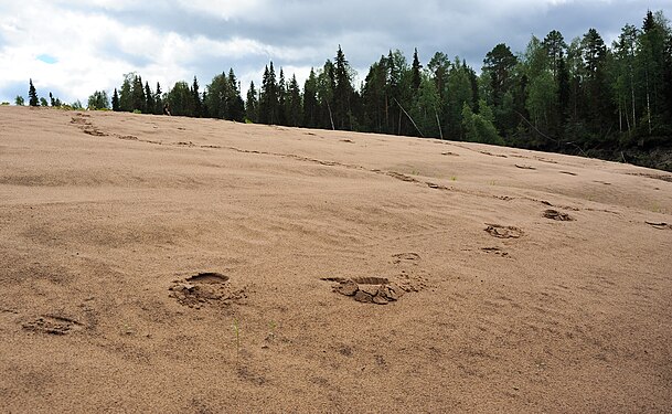 Footprints in sand